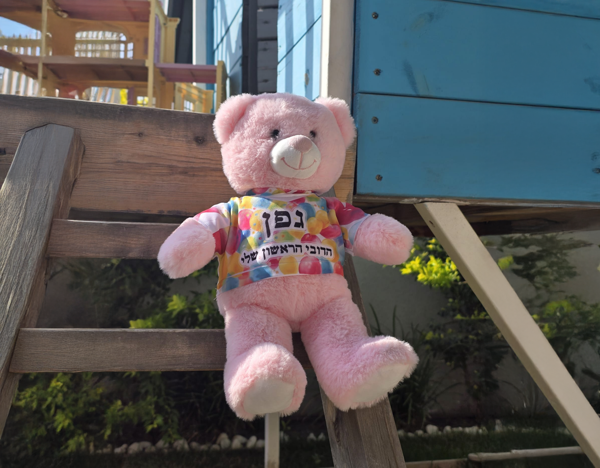 דובי ב3 צבעים שונים לבחירה עם חולצה בעיצוב אישי – תמונה 4